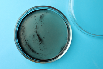 Top 10 Best Dispersing Agents for High-Performance Pigments